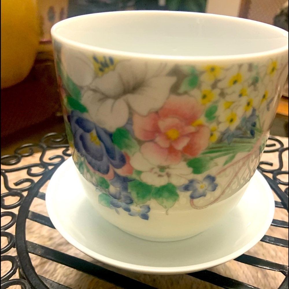 Planter with holes and a saucer